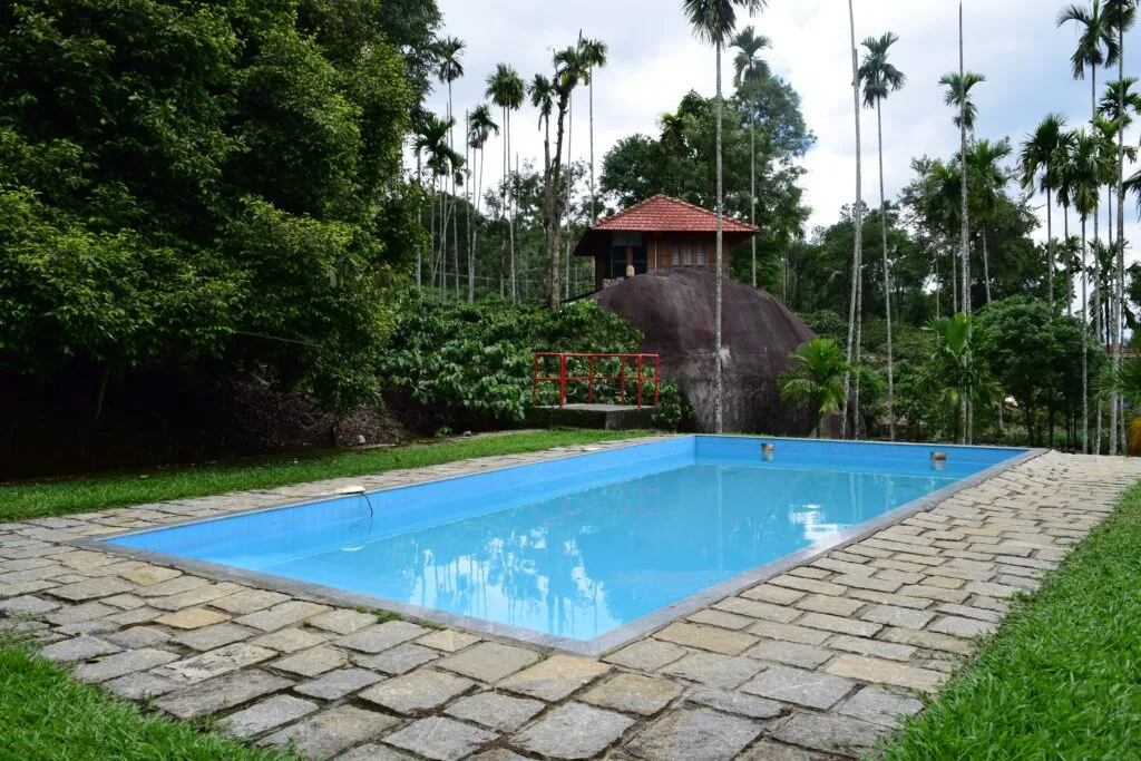 1. Swimming Pool