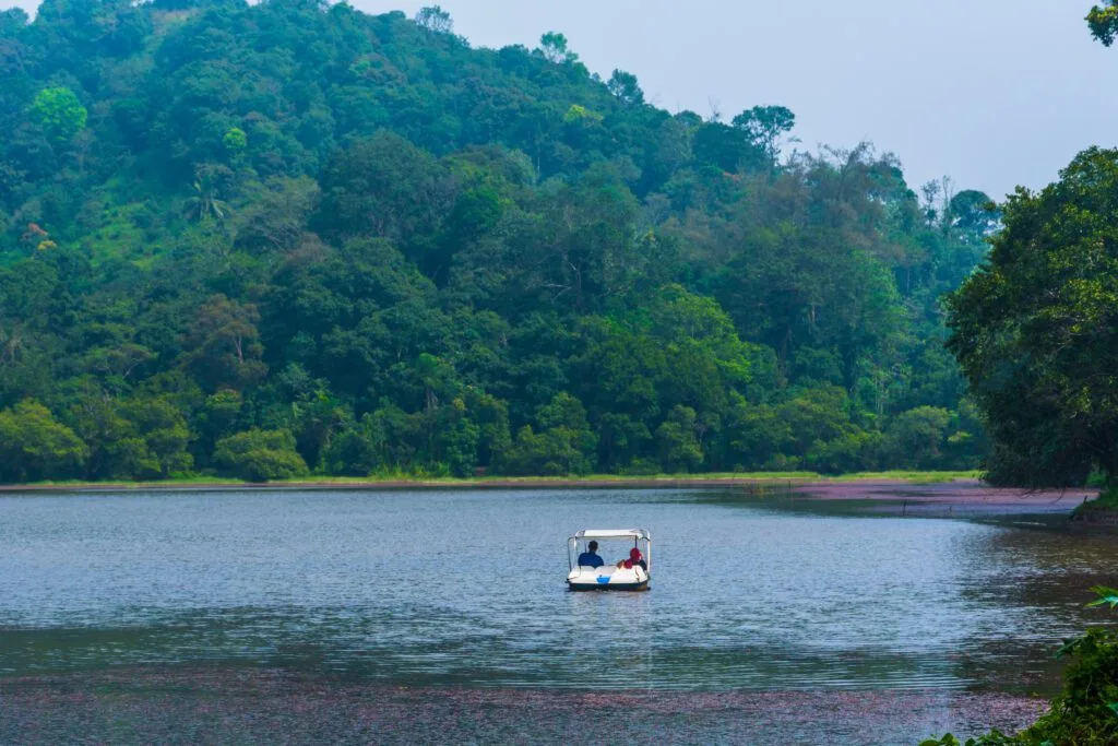 boat ride at Wayanad Pookode Lake