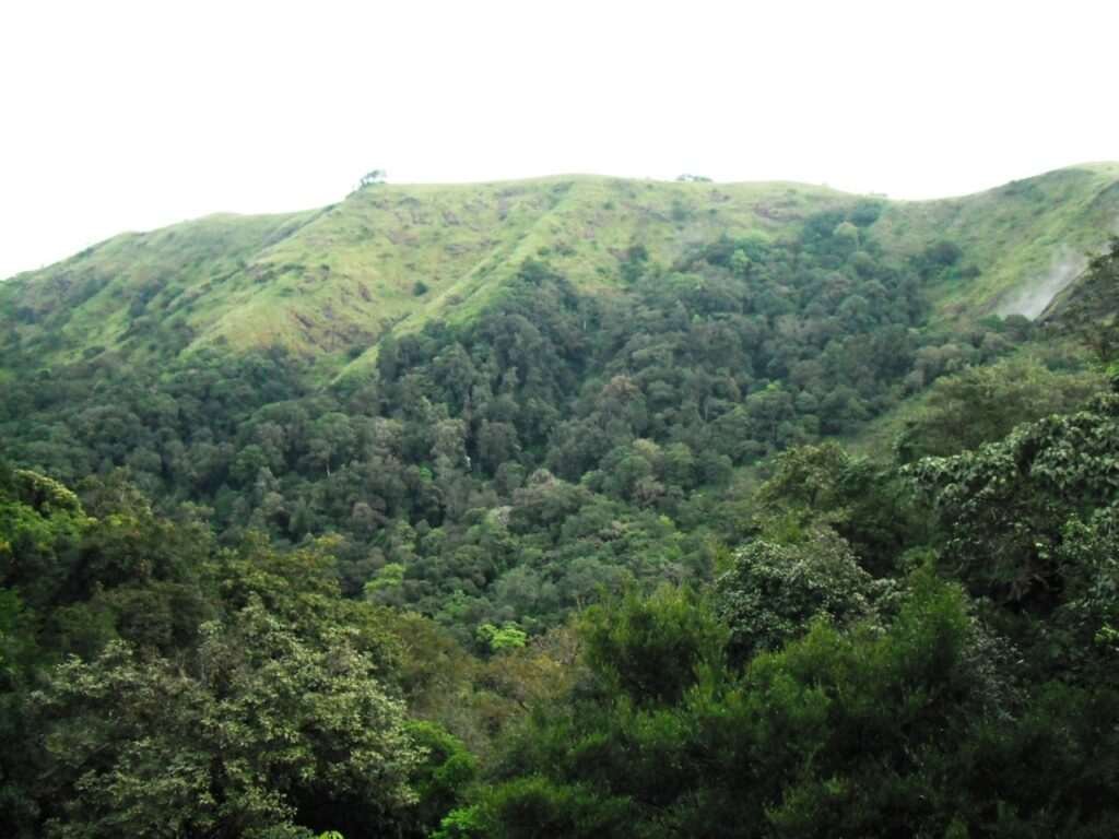 Idukki_Wildlife_Sanctuary_-_panoramio_(2) (1)