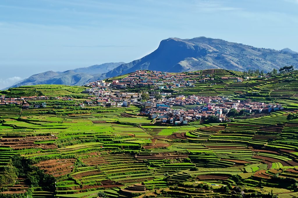 Terraced_farming-_Kodaikanal