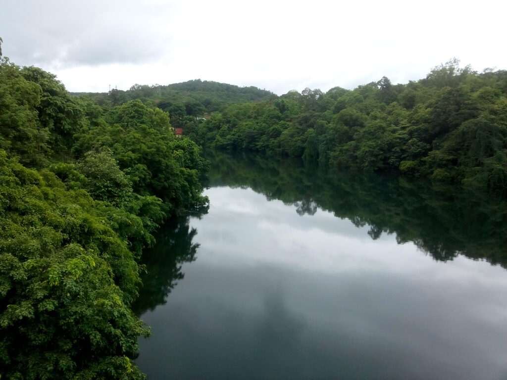 Kali_river_dandeli,_india