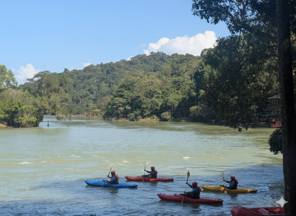 Gemini_Generated_Image_k3rstkk3rstkk3rs